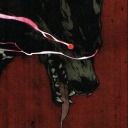 watcher-hunter avatar