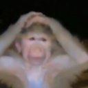 watching-that-guy avatar