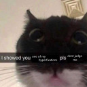 watchingyouwatchingmewatchingyou avatar