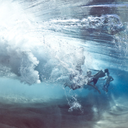 water-culture avatar