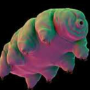 waterbearingwaterbear avatar