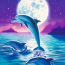 waterdolphin avatar