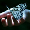 waterly-water avatar