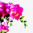 waterlys-blog avatar