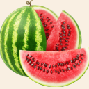 watermelon-project-archive avatar