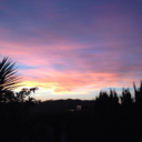 watermelon-xoxo avatar