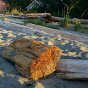 waterwitchman avatar