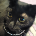 waterymilk1905 avatar