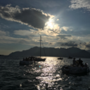 waveofdecember avatar