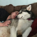 waveofpositiveenergy avatar