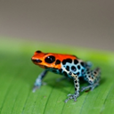 waveroll-blog avatar