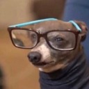 waymorecakeforme avatar