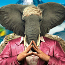 wayne-and-stuff avatar