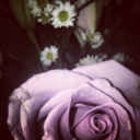 waysofwanting avatar