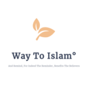 waytoislam avatar