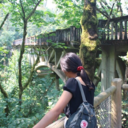 wayward-leaves avatar