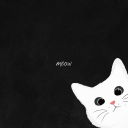 wayward-winchesterx avatar