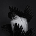 waywardangelsuggestions avatar