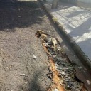 waywardfartwitch avatar