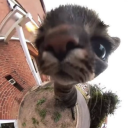 wazzupsthings avatar