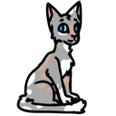 wc-wild-rewrite avatar