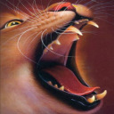 wcamino-confessions avatar