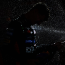 wdc-landonorris avatar