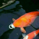 we-all-are-a-bit-crazy avatar