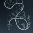 we-are-siphonophore avatar