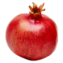 we-give-pomegranates-to-people avatar