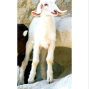 we-left-egypt-for-this avatar