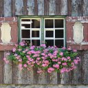 we-live-on-front-porches avatar