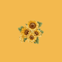 weak-sunflower13 avatar