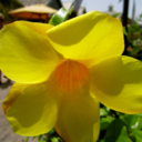 weallneedareasontob3lieve-blog avatar