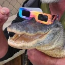 weaponimagination avatar