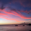 wearedetectives avatar