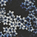 wearehighonwifi avatar