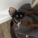 wearethewritingones avatar