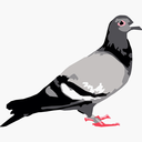 wearthestreet avatar