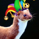 weaselcarnival avatar