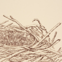 weavethebower avatar