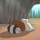 webarebears-official avatar