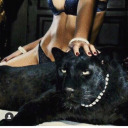 weblondedisaster avatar