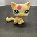 webstersebster avatar