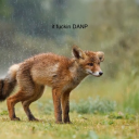 wednesdaywarriorswc avatar