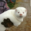 wedontfollowfashion avatar