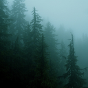 weed-and-witchcraft avatar