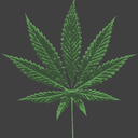 weed-beew avatar