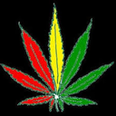 weed-n-glass-420 avatar