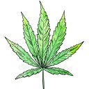 weed-shop avatar